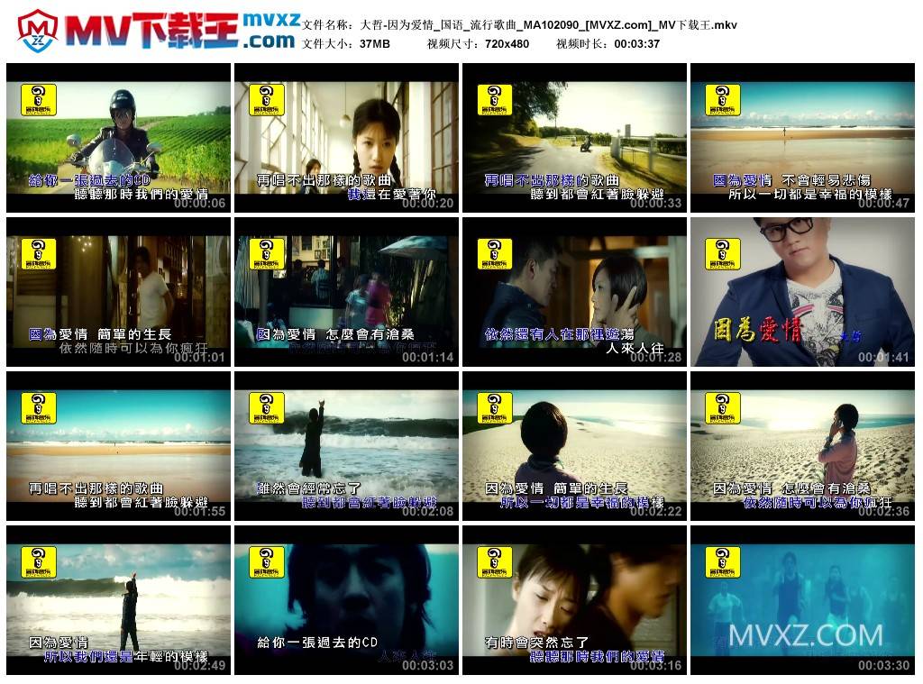 大哲-因为爱情_国语_流行歌曲_MA102090